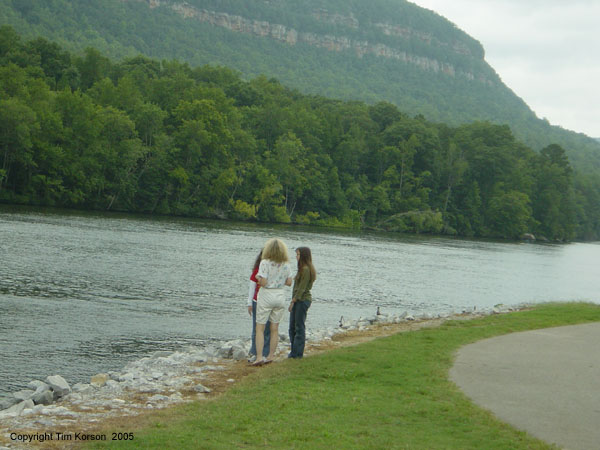 29 Racoon Mountain 3