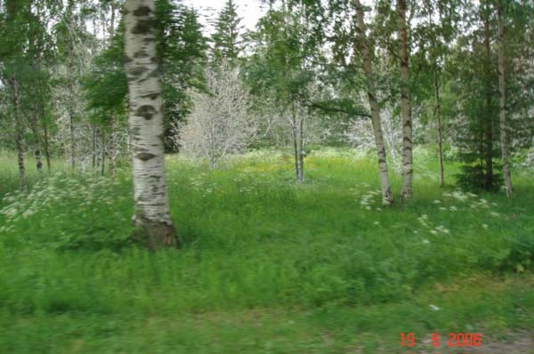 10 outside the conference