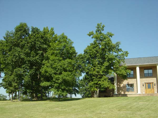 property may 26 2005 009