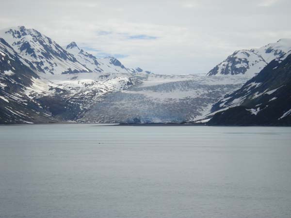 Glacier Bay (34)