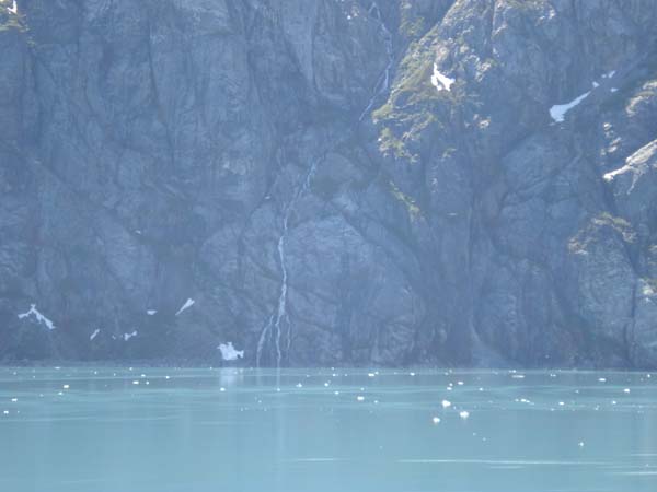 Glacier Bay (44)