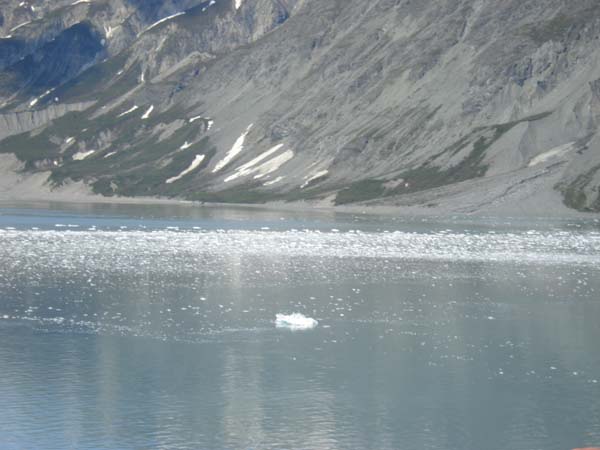 Glacier Bay (46)