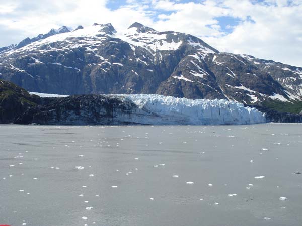 Glacier Bay (50)