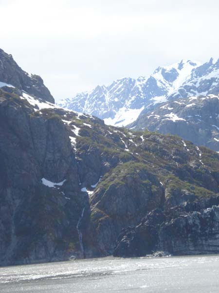 Glacier Bay (54)
