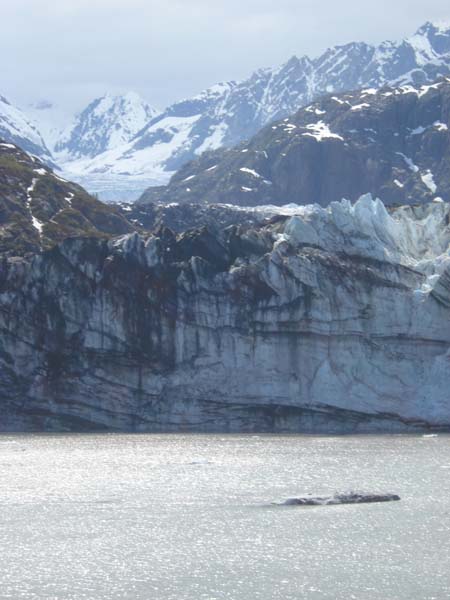 Glacier Bay (56)