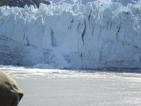 Glacier Bay (57)