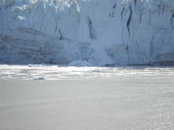 Glacier Bay (58)
