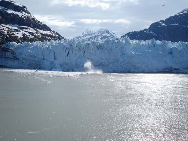 Glacier Bay (61)