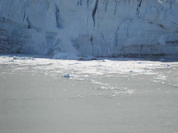 Glacier Bay (62)