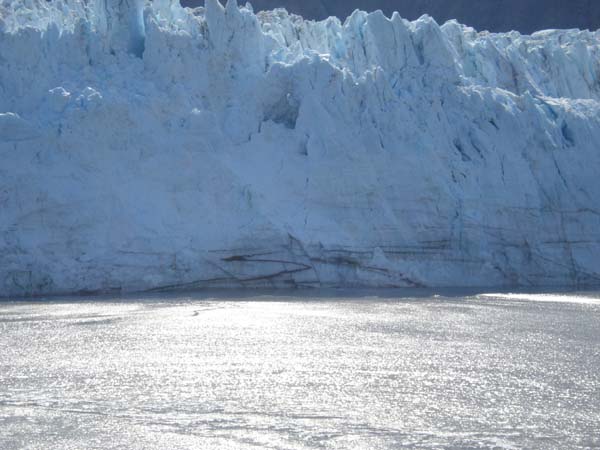 Glacier Bay (63)