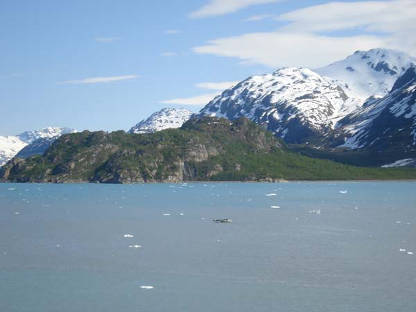 Glacier Bay (65)