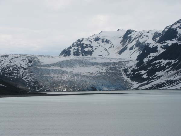 Glacier Bay (86)