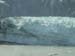 Glacier Bay (12)