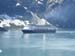 Glacier Bay (38)