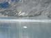 Glacier Bay (46)