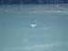 Glacier Bay (47)