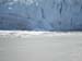 Glacier Bay (58)