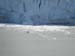 Glacier Bay (62)