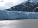 Glacier Bay (98)