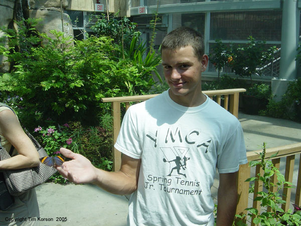 halsey and butterfly 2