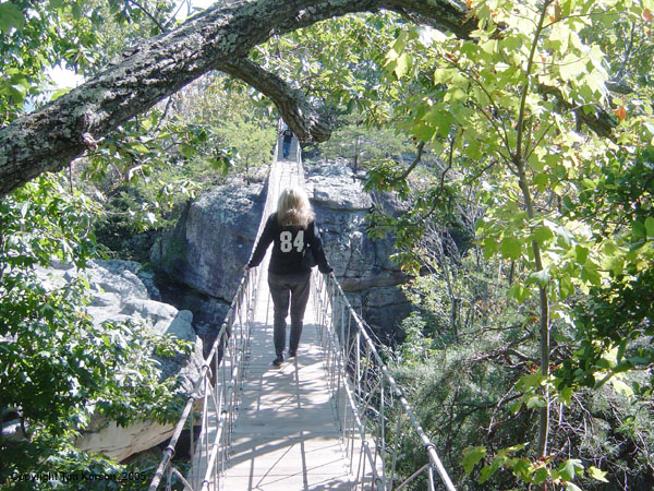 014 really really brave