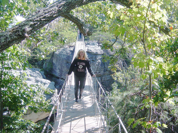 015 well not that brave