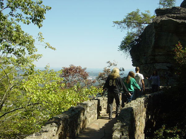 024 I can't believe I'm doing this